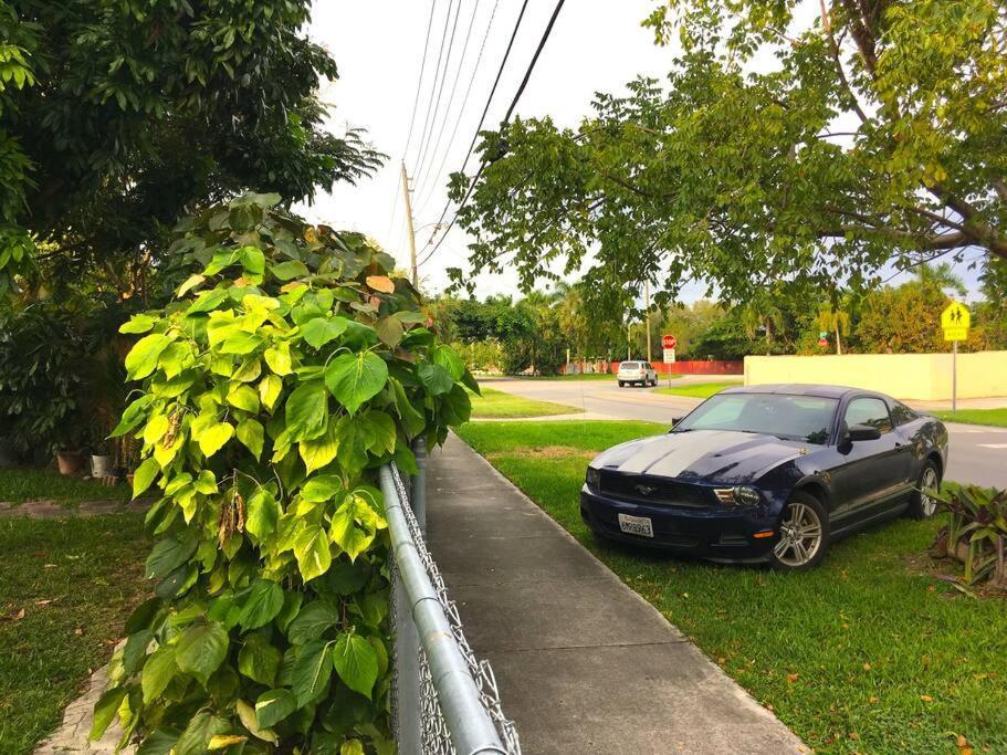 Miami Bungalow Oasis Near Everglades & The Keys Cutler Bay Εξωτερικό φωτογραφία