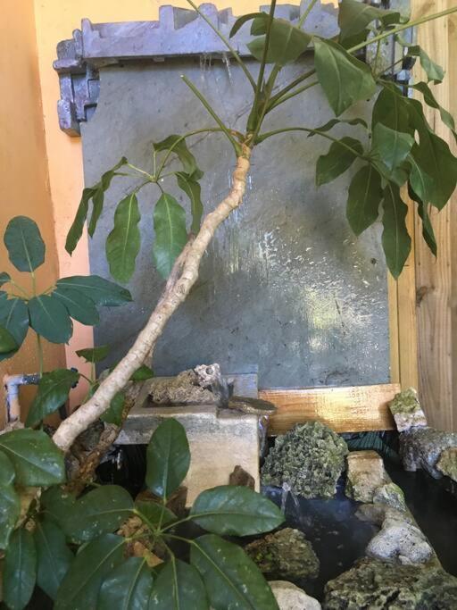 Miami Bungalow Oasis Near Everglades & The Keys Cutler Bay Εξωτερικό φωτογραφία