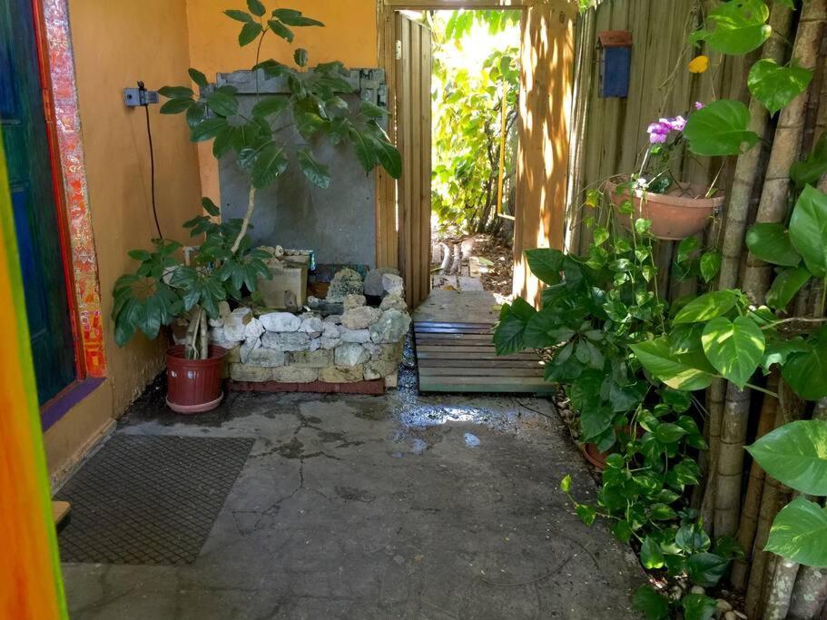 Miami Bungalow Oasis Near Everglades & The Keys Cutler Bay Εξωτερικό φωτογραφία